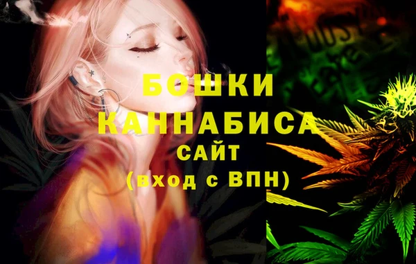 ECSTASY Горняк